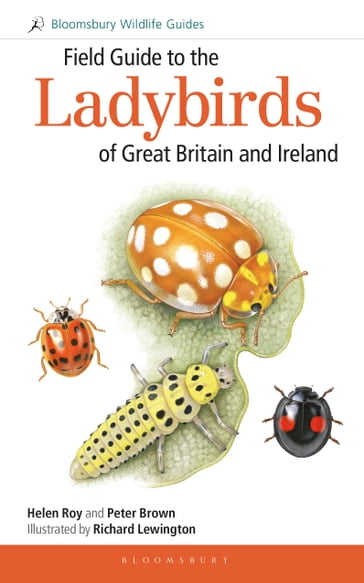 Field Guide to the Ladybirds of Great Britain and Ireland - Helen Roy - Dr Peter Brown