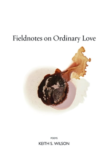 Fieldnotes on Ordinary Love - Keith S. Wilson