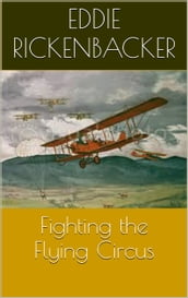 Fighting the Flying Circus