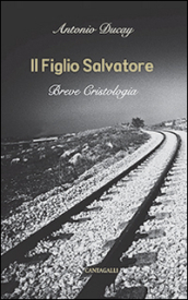 Il Figlio Salvatore. Breve cristologia