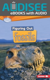 Figuring Out Fossils