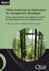 Filière forêt-bois et atténuation du changement climatique