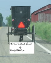 A Final Solitude Death: An Amish Country Murder Mystery