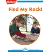 Find My Rock!