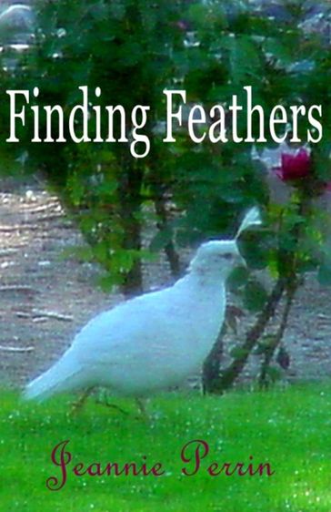 Finding Feathers - Jeannie Perrin