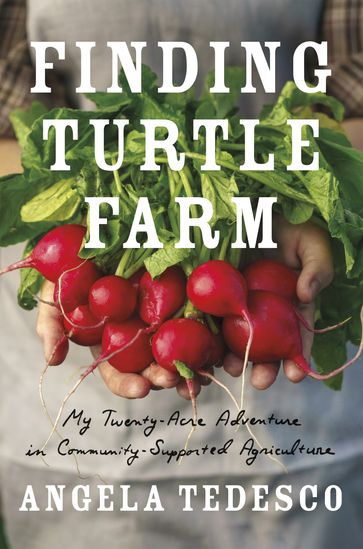Finding Turtle Farm - Angela Tedesco