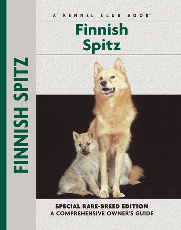 Finnish Spitz - Juliette Cunliffe