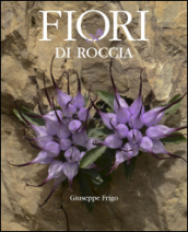 Fiori di roccia