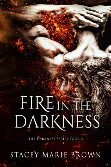 Fire In The Darkness (Darkness Series #2) - Stacey Marie Brown