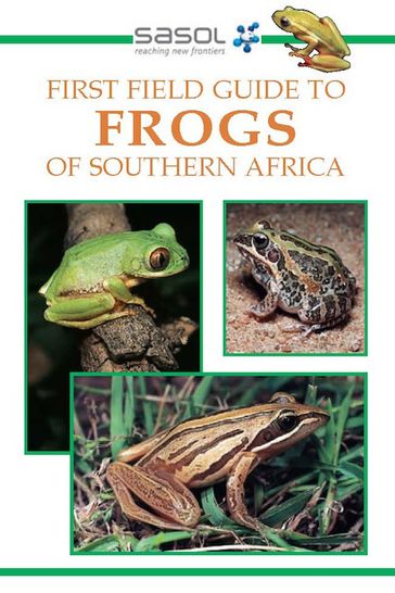 First Field Guide to Frogs of Southern Africa - Vincent Carruthers