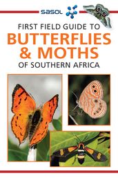 First Field Guide to Butterflies & Moths