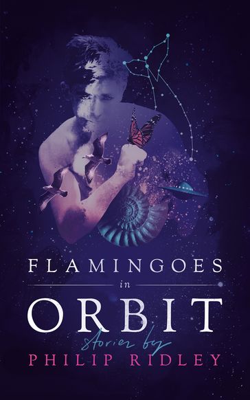 Flamingoes in Orbit - Philip Ridley