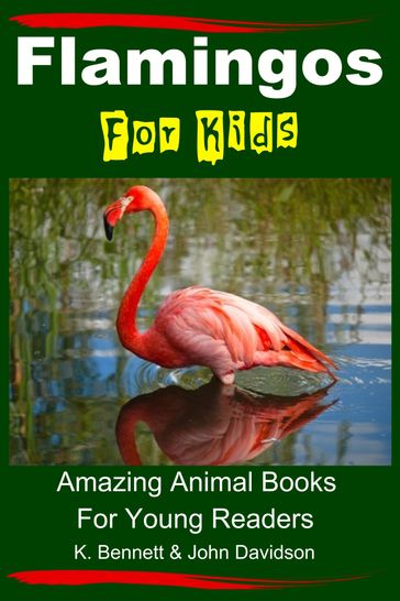 Flamingos For Kids: Amazing Animal Books For Young Readers - John Davidson - K. Bennett