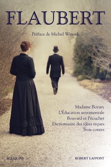 Flaubert - Madame Bovary, L'Education sentimentale, Bouvard et Pécuchet, Dictionnaire des idées reçu - Flaubert Gustave - Michel Winock - Brigitte MONGLOND