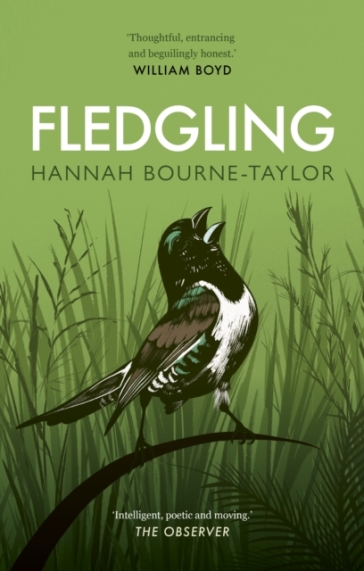 Fledgling - Hannah Bourne Taylor