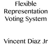 Flexible Representation Voting System