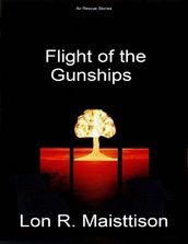 Flight of the Gunships