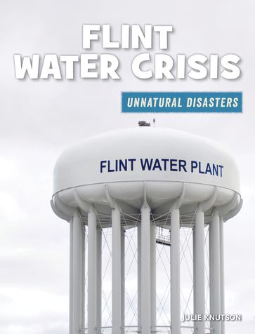 Flint Water Crisis - Julie Knutson