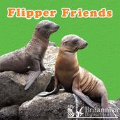 Flipper Friends