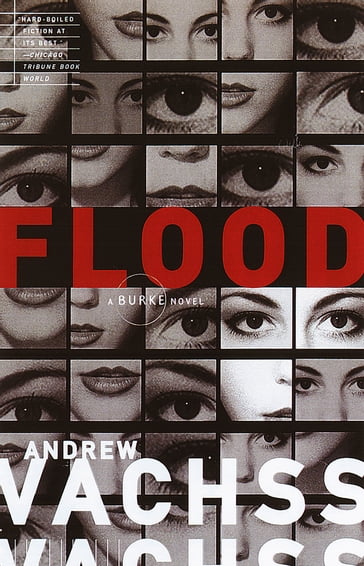 Flood - Andrew Vachss