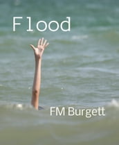 Flood