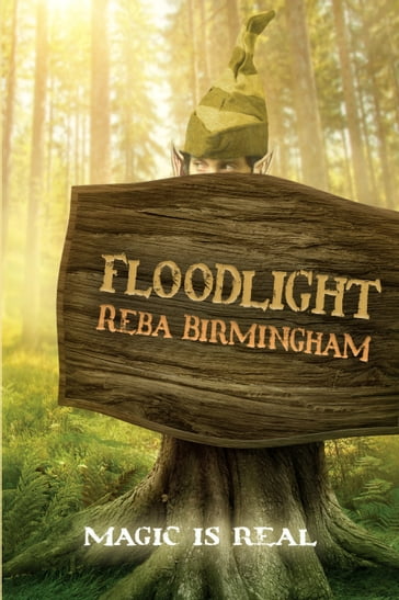 Floodlight - Reba Birmingham