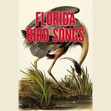 Florida Bird Songs - Donald J. Borror - Maurice L. Glitz