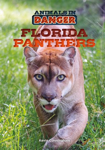 Florida Panthers - Mitchell Lane Publishers