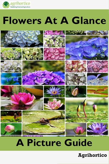 Flowers at a Glance: A Picture Guide - Agrihortico CPL