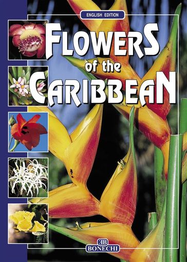 Flowers of the Caribbean - Bruno Foggi