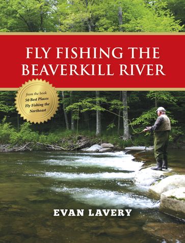 Fly Fishing the Beaverkill River - Evan Lavery