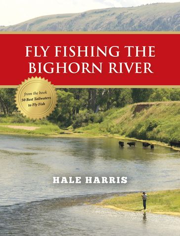 Fly Fishing the Bighorn River - Hale Harris