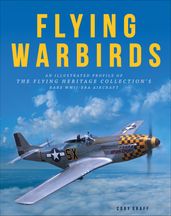 Flying Warbirds