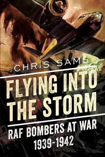 Flying into the Storm - Chris Sams