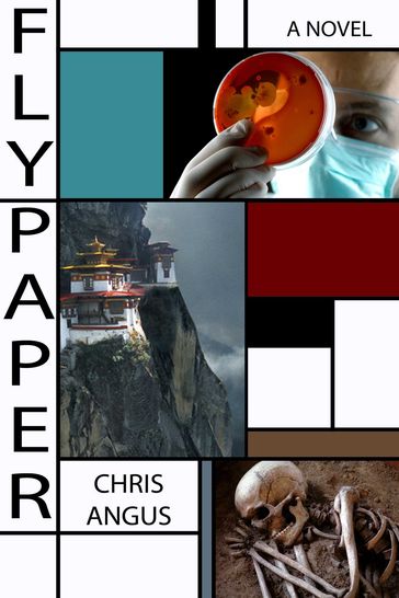 Flypaper - Chris Angus