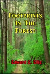 Footprints in the Forest