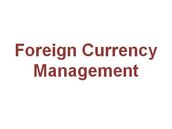 Foreign Currency Management