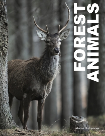 Forest Animals - Julianna Photopoulos