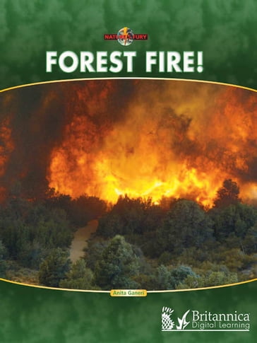 Forest Fire! - Anita Ganeri