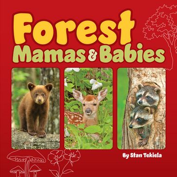 Forest Mamas & Babies - Stan Tekiela