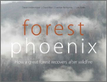 Forest Phoenix - David Blair - David Lindenmayer - Lachlan McBurney - Sam Banks