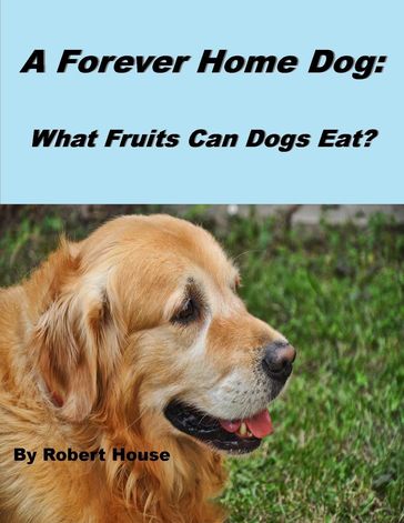 A Forever Home Dog:What Fruits Can Dogs Eat? - Robert House