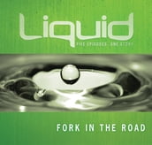 Fork in the Road Participant s Guide