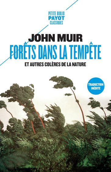 Forêts dans la tempête - John Muir