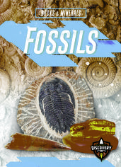 Fossils