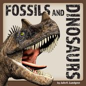 Fossils and Dinosurs