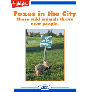 Foxes in the City - Highlights for Children