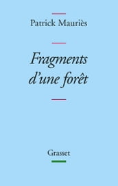 Fragments d