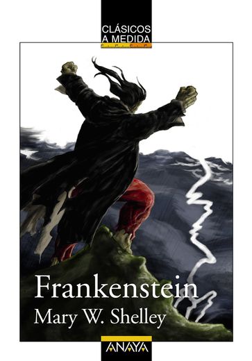 Frankenstein - Emilio Fontanilla Debesa - Mary W. Shelley