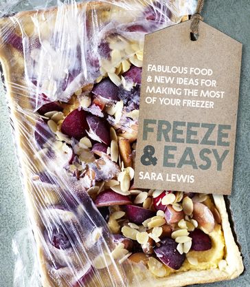 Freeze & Easy - Sara Lewis